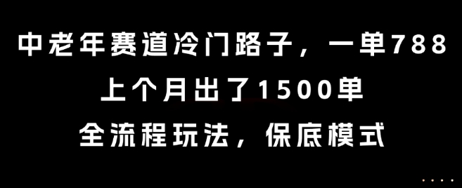 中老年赛道冷门路子，一单788，上个月出了1500单，全流程玩法，保底模式【揭秘】-淘金日记