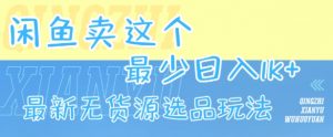 闲鱼卖这个，最少日入1k，最新无货源选品玩法-淘金日记