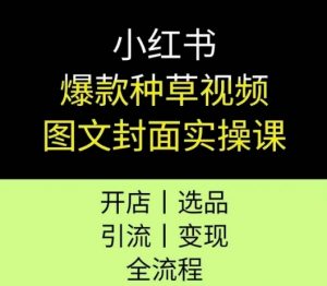 小红书爆款种草视频图文封面实操课,开店、选品、引流、变现全流程-淘金日记