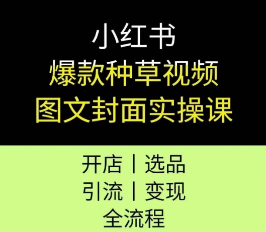 小红书爆款种草视频图文封面实操课,开店、选品、引流、变现全流程-淘金日记