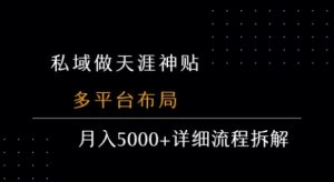 私域做天涯神贴 多平台布局 月入5k+详细流程拆解-淘金日记