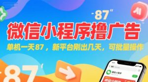 微信小程序看广告，单机一天87，新平台刚出几天，可批量操作，日入5张-淘金日记