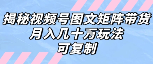 解密视频号图文矩阵带货,月入几个W的打法,可复制-淘金日记