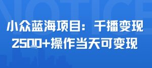 小众蓝海项目,千播变现2.5k+操作当天可变现-淘金日记
