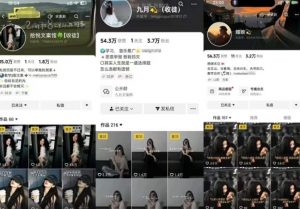 抖音图文文案赛道新玩法，快速养号起号，广告收益分成+橱窗带货+教学收徒等-淘金日记