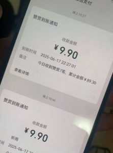 二次元男粉快速变现项目,私域卖虚拟产品,百分利润-淘金日记
