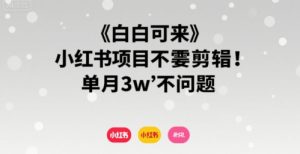 小白可来 小红书项目不需要剪辑 单月3w不是问题-淘金日记