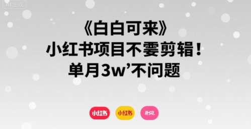 小白可来 小红书项目不需要剪辑 单月3w不是问题-淘金日记