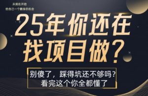 25年,你还在疯狂的找项目吗?别傻了,看完这个你都懂了【揭秘】-淘金日记