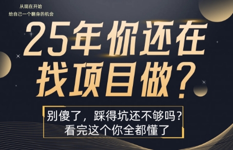 25年,你还在疯狂的找项目吗?别傻了,看完这个你都懂了【揭秘】-淘金日记