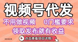 视频号代发，不用剪辑不用做视频，0门槛要求，领取发布就有收益，任务没有无上限，小白轻松上手【揭秘】-淘金日记