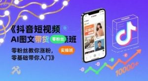 抖音短视频AI图文带货实操班,零粉丝教你涨粉,零基础带你入门-淘金日记