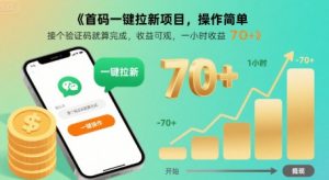 首码一键拉新项目,操作简单,接个验证码就算完成,收益可观, 一小时收益70+【揭秘】-淘金日记