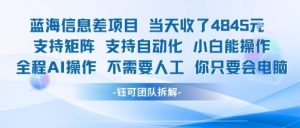 蓝海信息差项目当天收米1k+ 支持矩阵支持自动化小白能操作全程AI操作不需要人工你只要会电脑-淘金日记