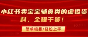 小红书卖宝宝辅食类的虚拟资料，从引流到私域变现，全程干货，简单粗暴，轻松上手-淘金日记