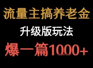 流量主之养老金升级版玩法 爆一篇收益1k+-淘金日记