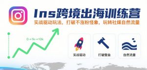 Ins跨境出海训练营,实战驱动玩法,打破不涨粉怪象,玩转社媒自然流量-淘金日记