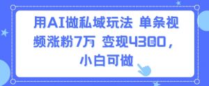 用AI做私域玩法,单条视频涨粉7W变现4.3k,小白可做-淘金日记