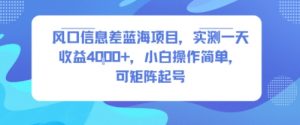 风口信息差蓝海项目,实测一天收益4k+,小白操作简单,可矩阵起号-淘金日记