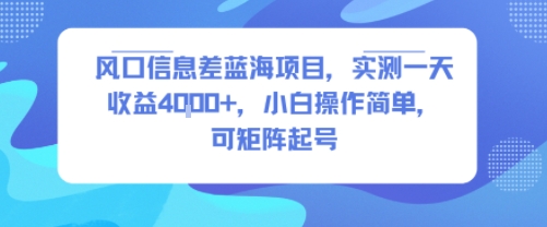 风口信息差蓝海项目,实测一天收益4k+,小白操作简单,可矩阵起号-淘金日记