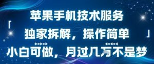 苹果手机技术服务,独家拆解,操作简单,小白可做,月过1W不是梦-淘金日记