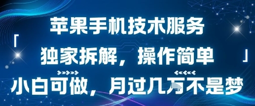 苹果手机技术服务,独家拆解,操作简单,小白可做,月过1W不是梦-淘金日记