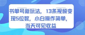 书单号新玩法，13条视频变现5位数，小白操作简单，当天可见收益-淘金日记