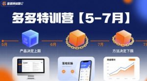 多多特训营【5-7月】产品决定上限,方法决定下限,各种玩法技巧落地实操-淘金日记