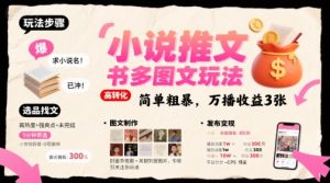 小说推文小红书多图文玩法，简单粗暴，万播收益3张-淘金日记