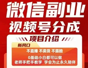 微信副业视频号分成,不直播 不卖货 不露脸,三五分钟即可完成一条作,每日收益几十、几张不等-淘金日记
