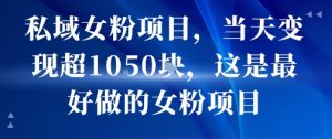 私域女粉项目,当天变现超1k,这是最好做的女粉项目,可放大操作-淘金日记