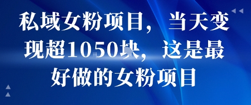 私域女粉项目,当天变现超1k,这是最好做的女粉项目,可放大操作-淘金日记