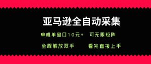 亚马逊全自动采集,单机单窗口一天10+,可无限矩阵去做【揭秘】-淘金日记
