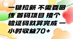 一键拉新 不需要回传 首码项目 接个验证码就算完成 一小时收益70+【揭秘】-淘金日记