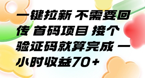 一键拉新 不需要回传 首码项目 接个验证码就算完成 一小时收益70+【揭秘】-淘金日记