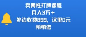 卖两性打牌课程,月入3W+外边收费899的课程,这里0元,悄悄做-淘金日记