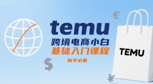 temu跨境电商小白基础入门课程，新手必看-淘金日记