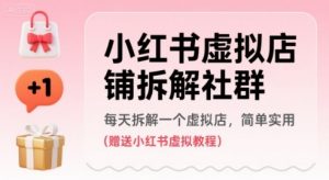 小红书虚拟店铺拆解社群，每天拆解一个虚拟店，简单实用(赠送小红书虚拟教程)-淘金日记
