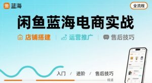 闲鱼蓝海电商实战，店铺搭建运营售后全流程-淘金日记