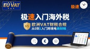 极速入门海外税，欧洲VAT财税合规，从0到1入门跨境电商财税-淘金日记