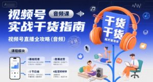 视频号实战干货指南，视频号直播全攻略（音频）-淘金日记
