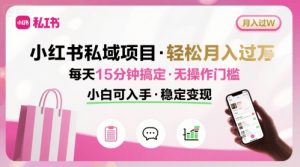 小红书私域项目 月入过W非常轻松 每天15分钟即可搞定,无任何操作门槛,小白可入手-淘金日记