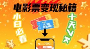 小白必看!卖电影票项目,零投入无门槛谁都能做,十天到手 7k,照做就行【揭秘】-淘金日记