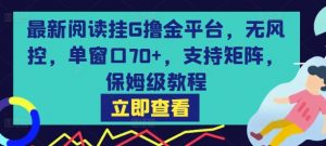 最新阅读挂G撸金平台，无风控，单窗口70+，支持矩阵，保姆级教程【揭秘】-淘金日记
