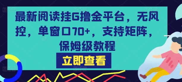 最新阅读挂G撸金平台，无风控，单窗口70+，支持矩阵，保姆级教程【揭秘】-淘金日记