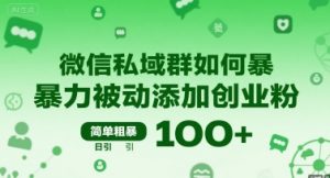 微信私域群如何暴力被动添加创业粉，简单粗暴，日引100+-淘金日记