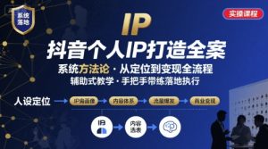 抖音个人IP系统落地实操大课,实操课程,辅助落地-淘金日记