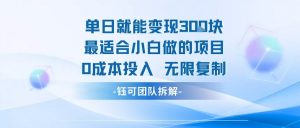 单日就能变现3张最适合小白做的项目0成本投入 无限复制-淘金日记