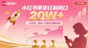 一年时间靠小红书带货项目年入20w+，最不能错的大红利项目-淘金日记