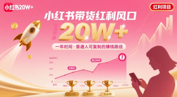 一年时间靠小红书带货项目年入20w+，最不能错的大红利项目-淘金日记